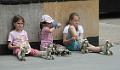 bild_28