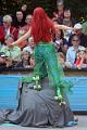 bild22